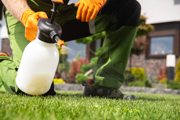Trusted Montgomery, IL Pest Control Experts
