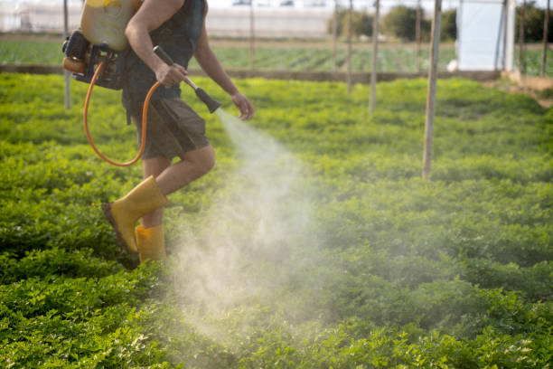 Best Pest Control Near Me  in Montgomery, IL