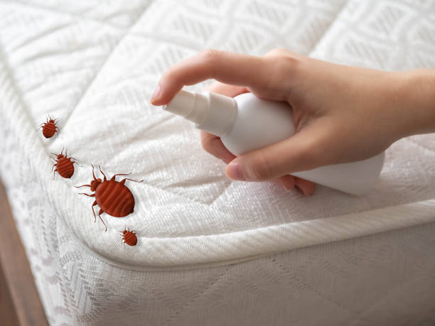 Best Affordable Pest Control Services  in Montgomery, IL