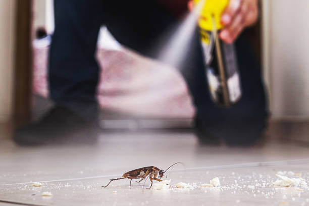 Best Best Pest Control Companies  in Montgomery, IL