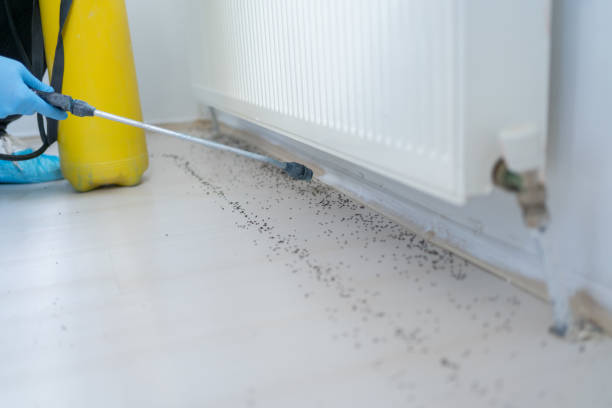 Best Exterminator Services  in Montgomery, IL