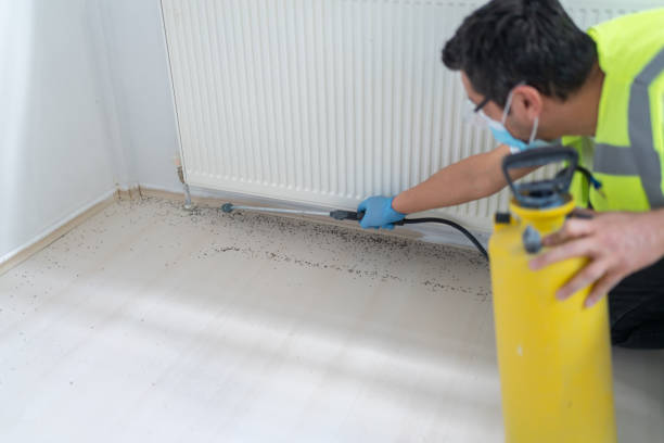 Best Pest Inspection Near Me  in Montgomery, IL